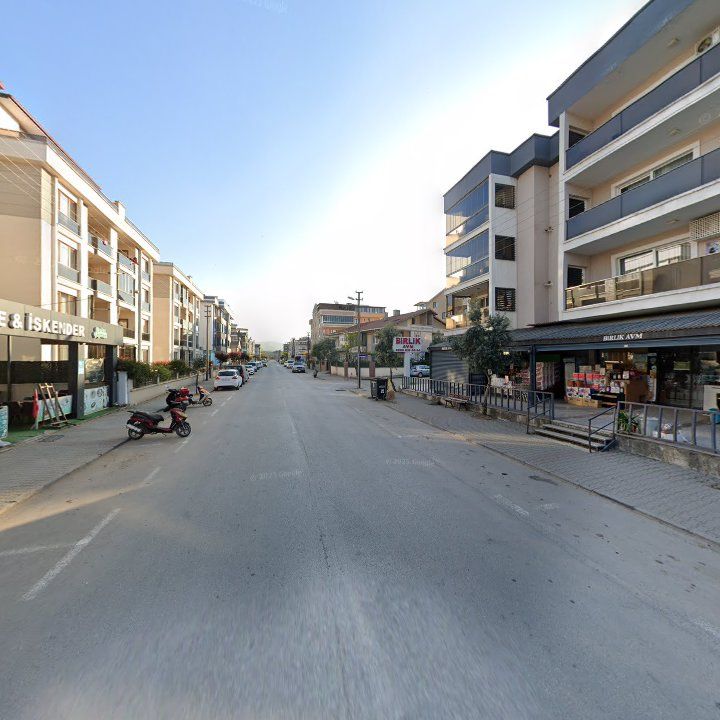 Fotoğraf 9