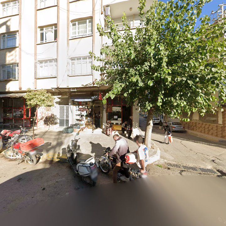 Fotoğraf 4