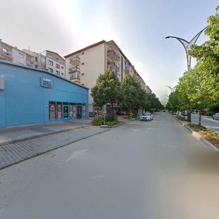 Fotoğraf 4