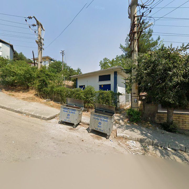 Fotoğraf 3