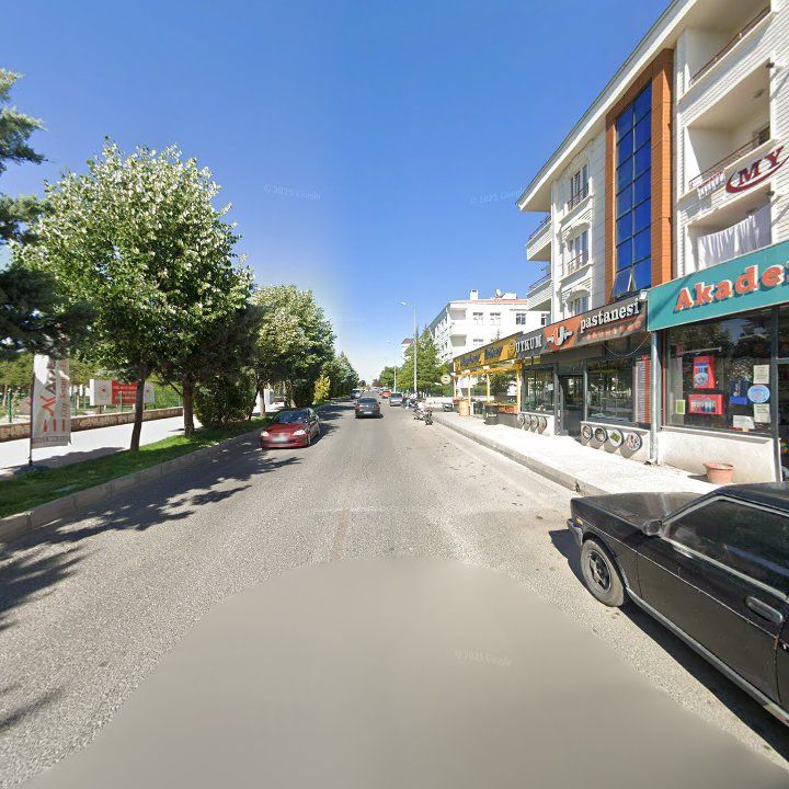Fotoğraf 9