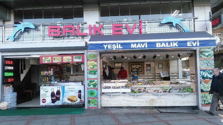 Yeşil Mavi Balık Evi