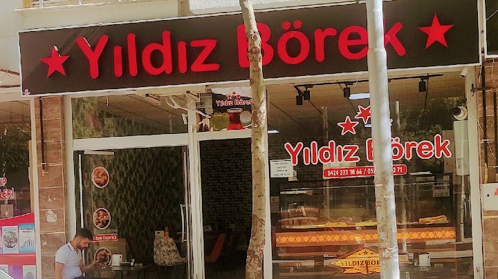 Yıldız Börek Salanu