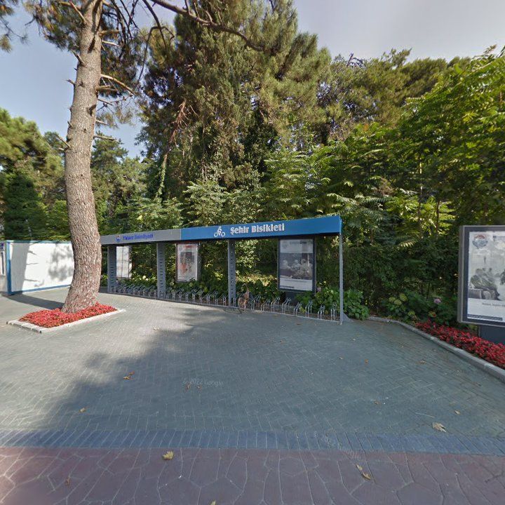 Fotoğraf 11