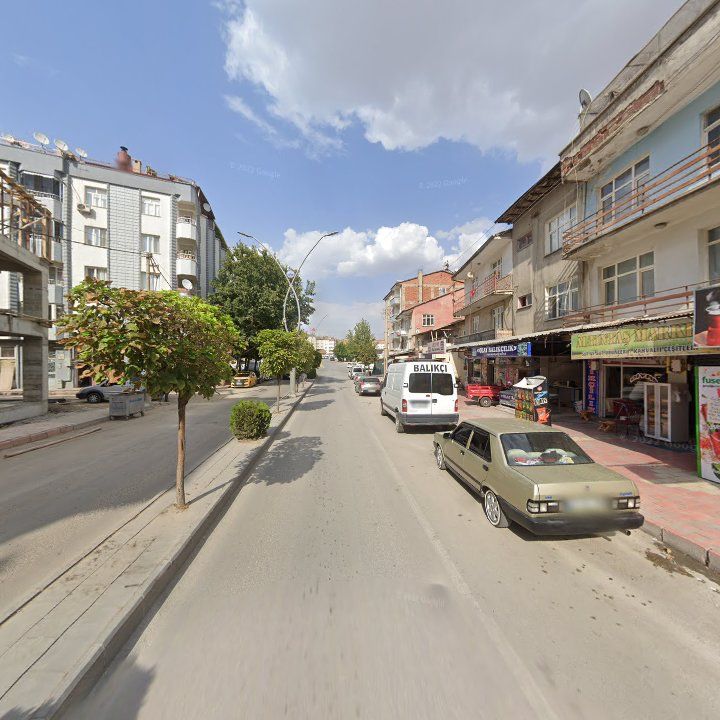 Fotoğraf 7