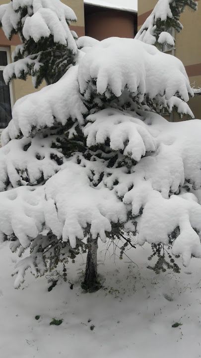 Ziyafet Çiğköfte Kocasinan