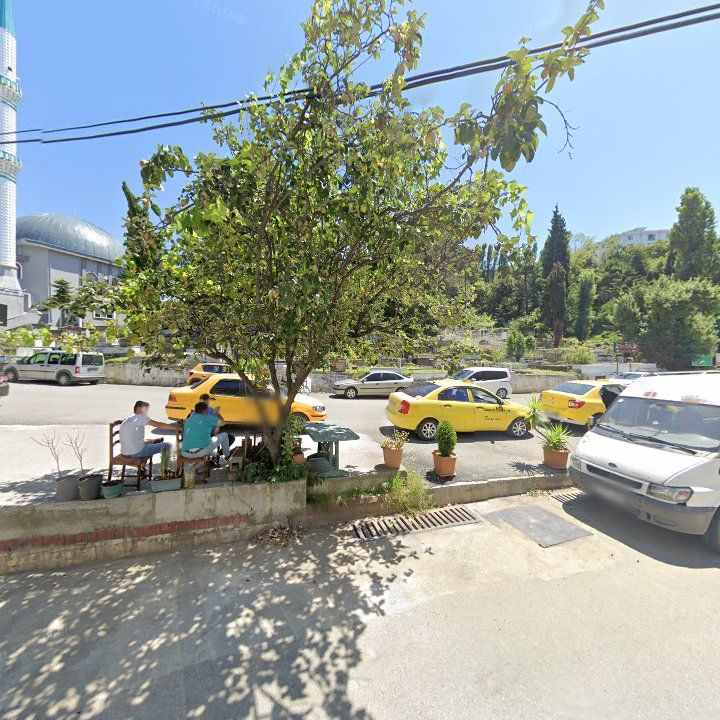 Fotoğraf 3