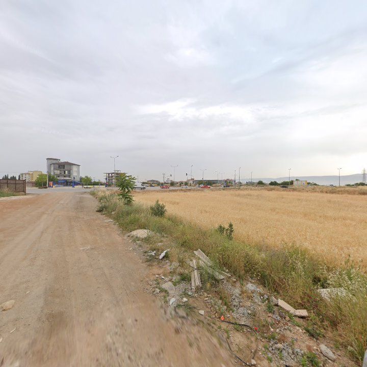 Fotoğraf 8