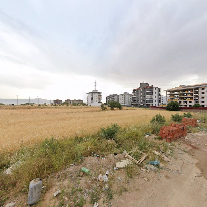 Fotoğraf 9