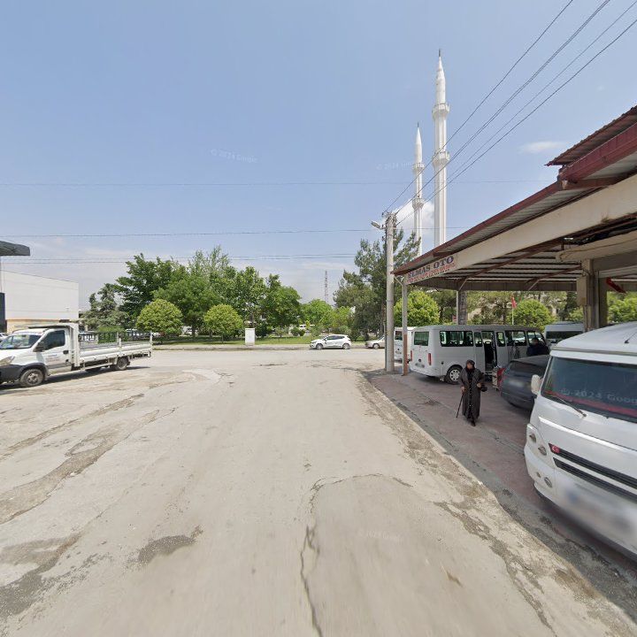 Fotoğraf 7