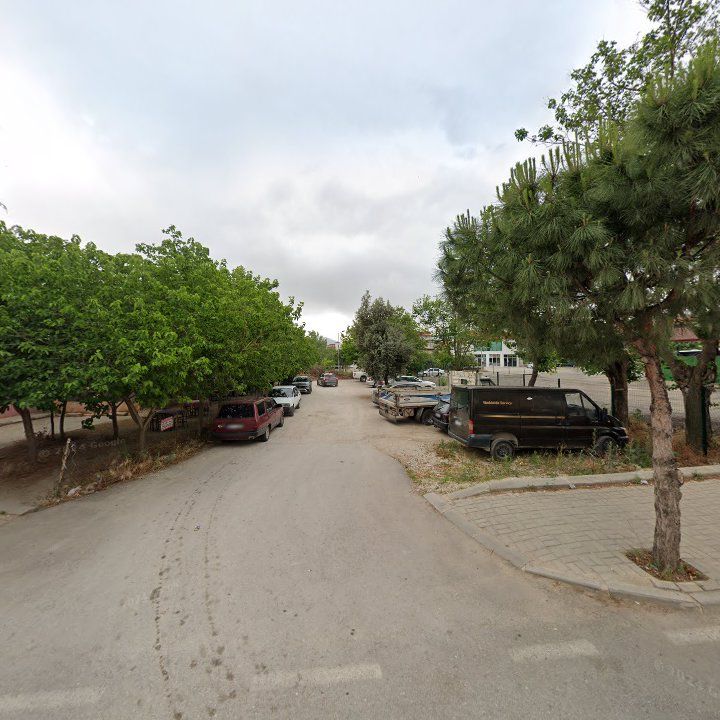Fotoğraf 7