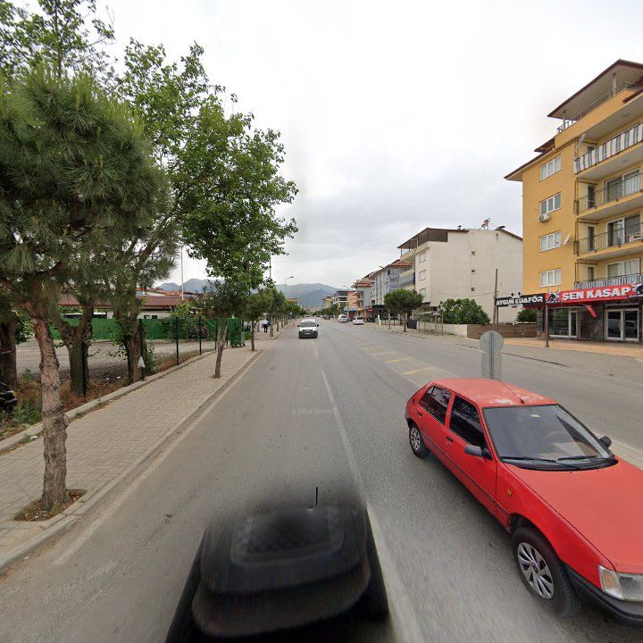 Fotoğraf 8