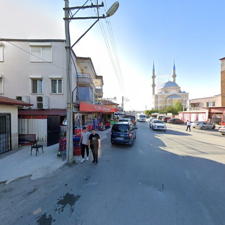 Fotoğraf 8