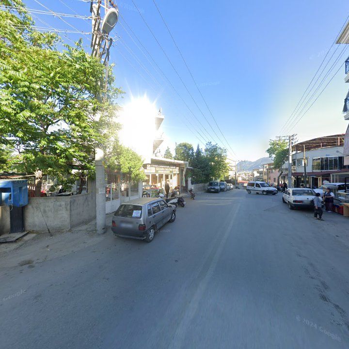 Fotoğraf 10