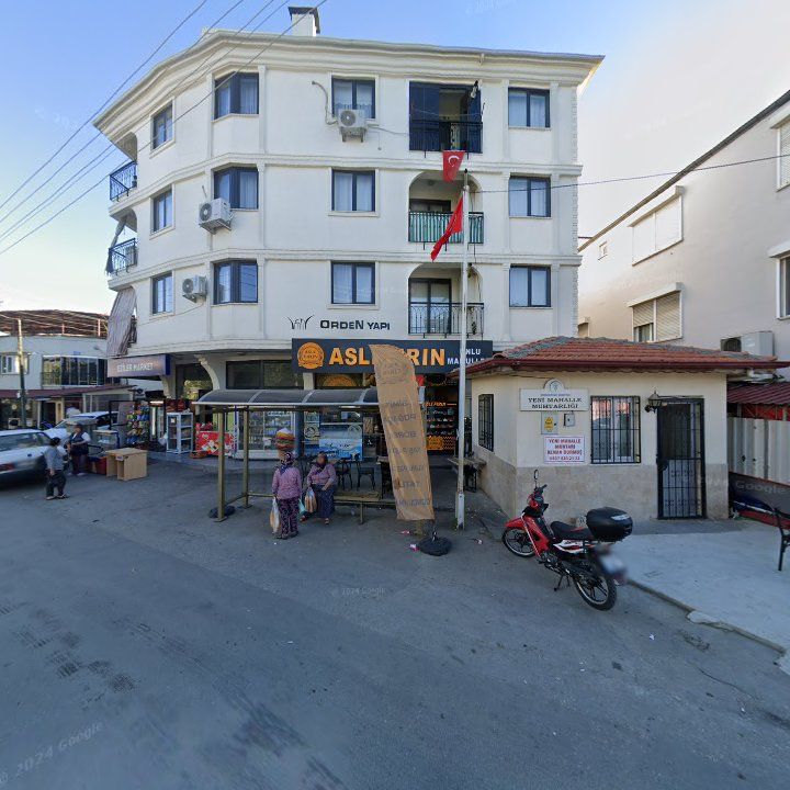 Fotoğraf 7