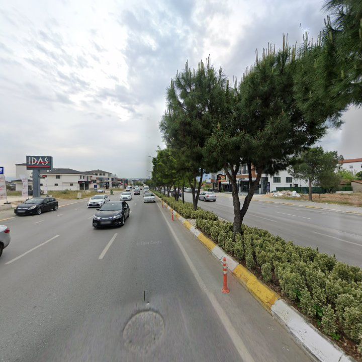 Fotoğraf 7