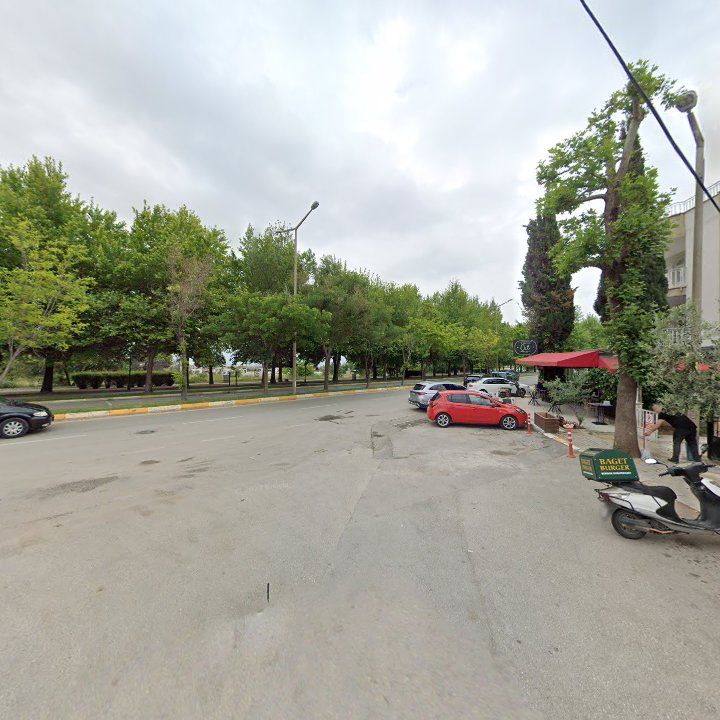 Fotoğraf 11