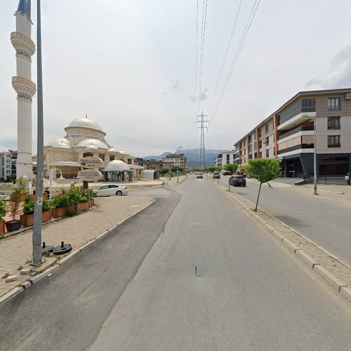 Fotoğraf 5