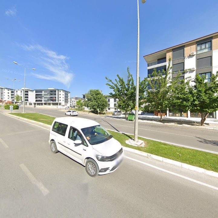 Fotoğraf 9