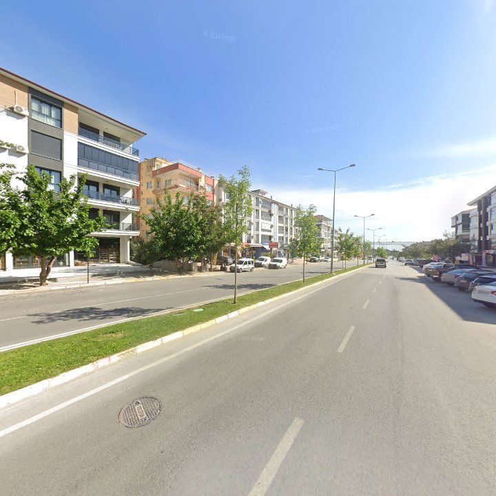 Fotoğraf 10