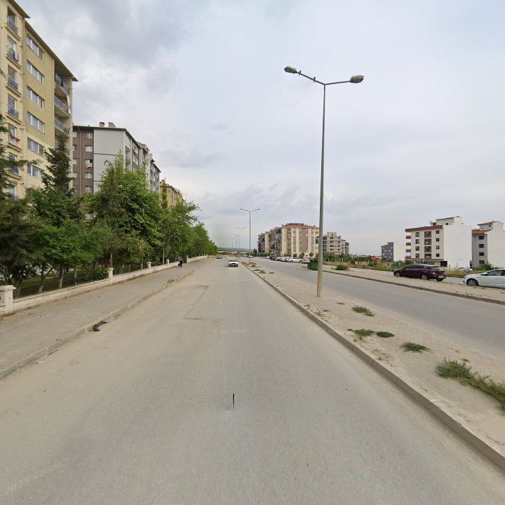 Fotoğraf 11