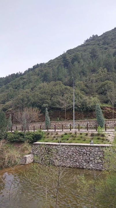 Fotoğraf 24