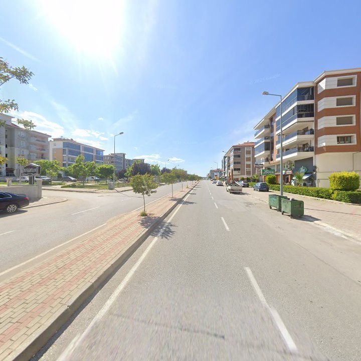 Fotoğraf 11
