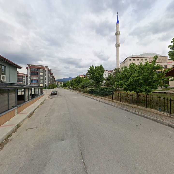 Fotoğraf 9