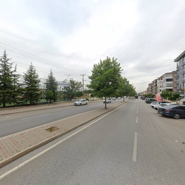 Fotoğraf 12