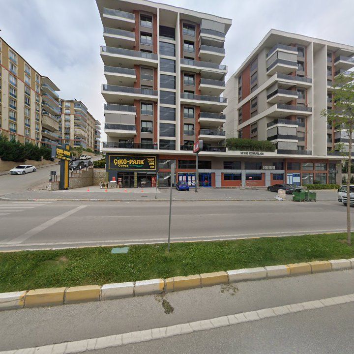 Fotoğraf 9