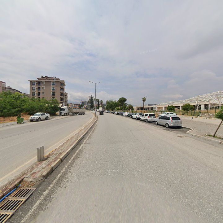 Fotoğraf 8