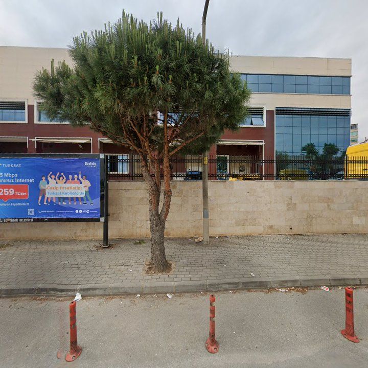 Fotoğraf 8