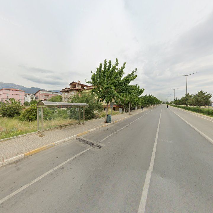 Fotoğraf 9