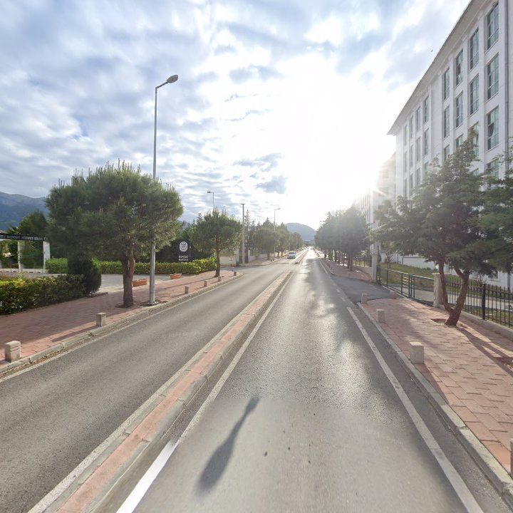 Fotoğraf 7