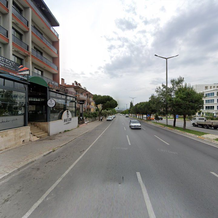 Fotoğraf 12
