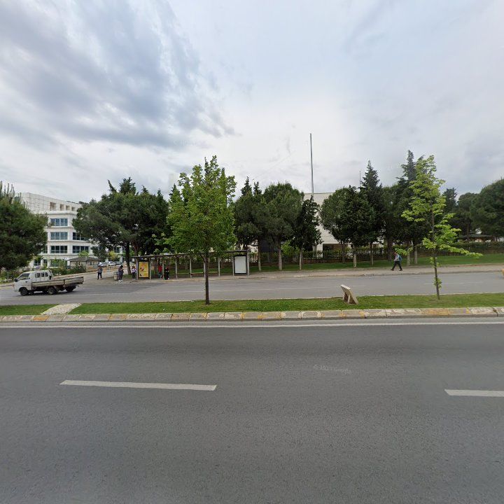 Fotoğraf 13