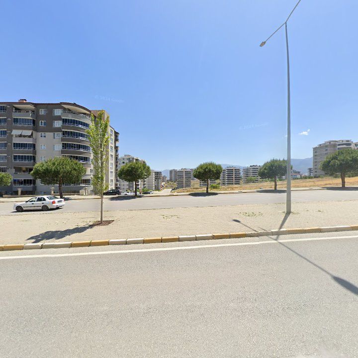 Fotoğraf 11