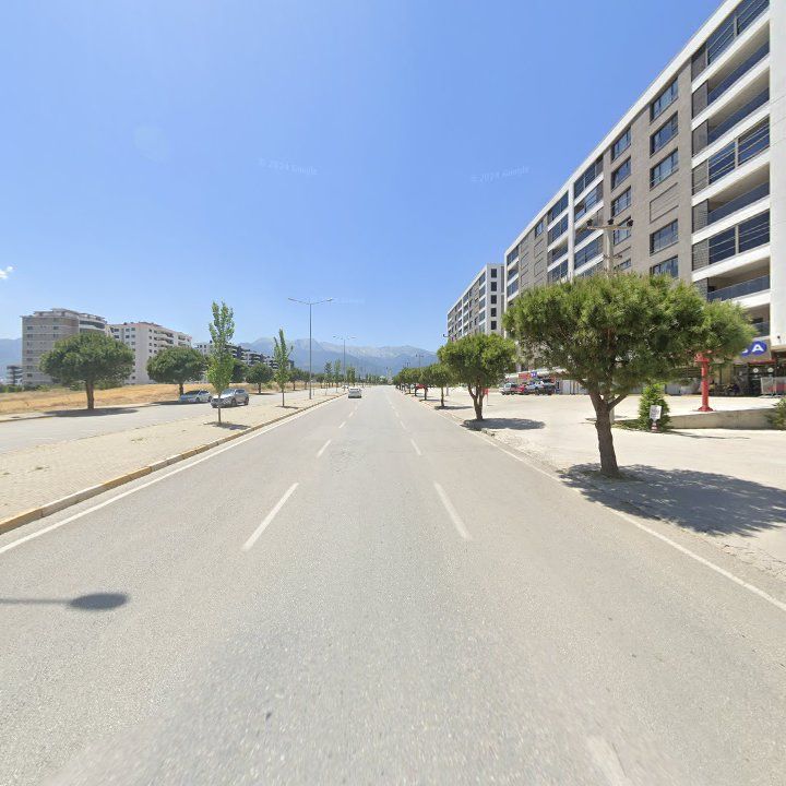 Fotoğraf 12