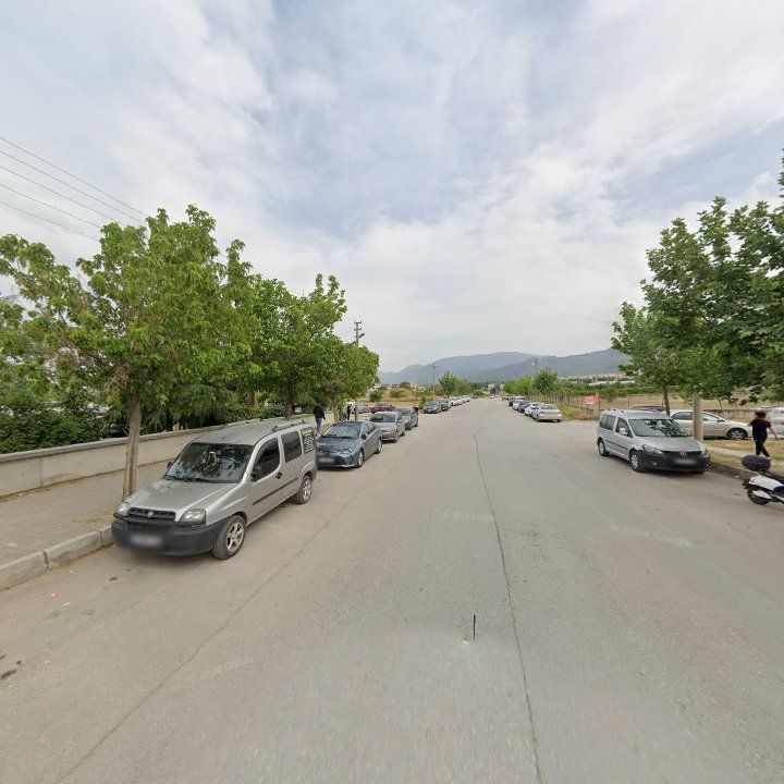 Fotoğraf 11