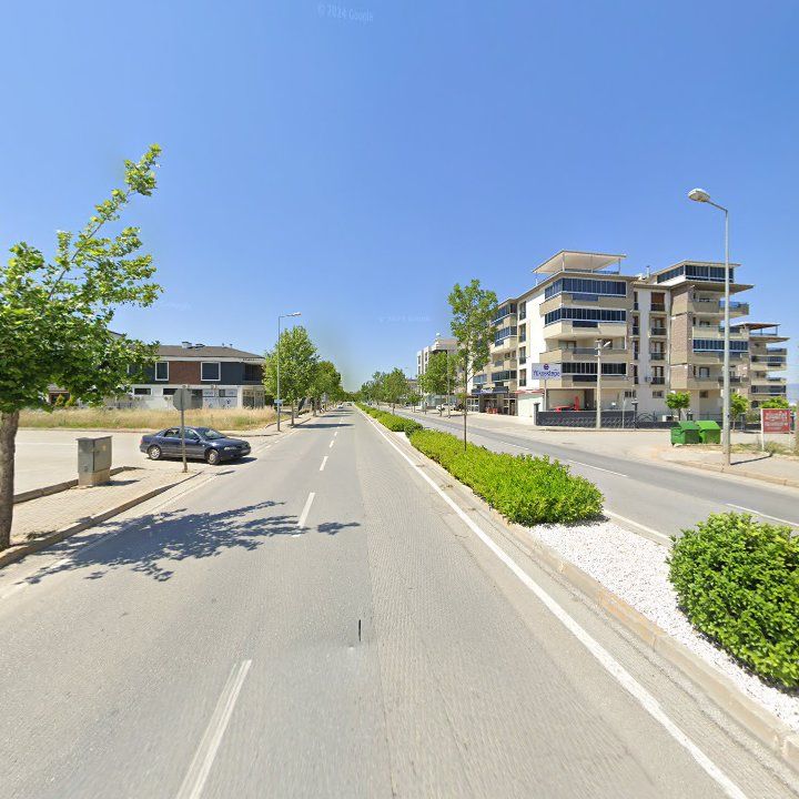 Fotoğraf 11