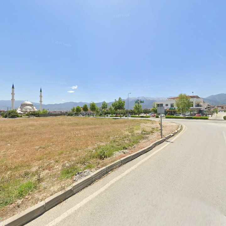 Fotoğraf 11