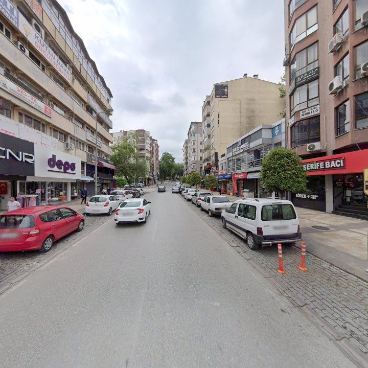 Fotoğraf 12