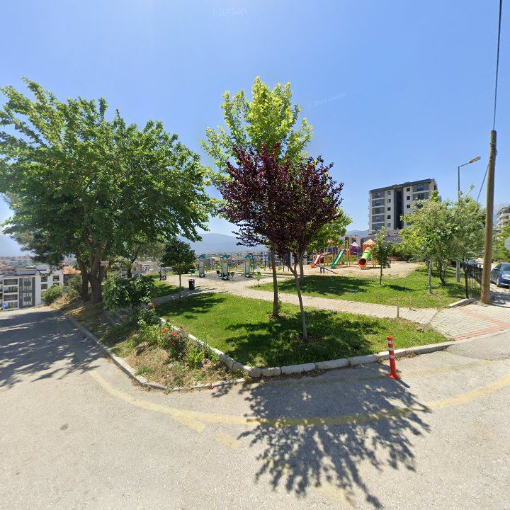 Fotoğraf 11