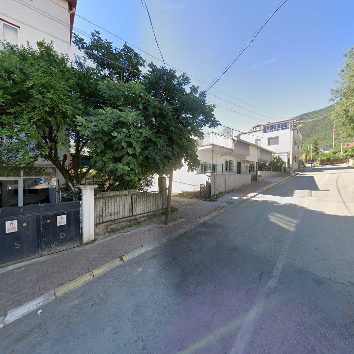 Fotoğraf 10