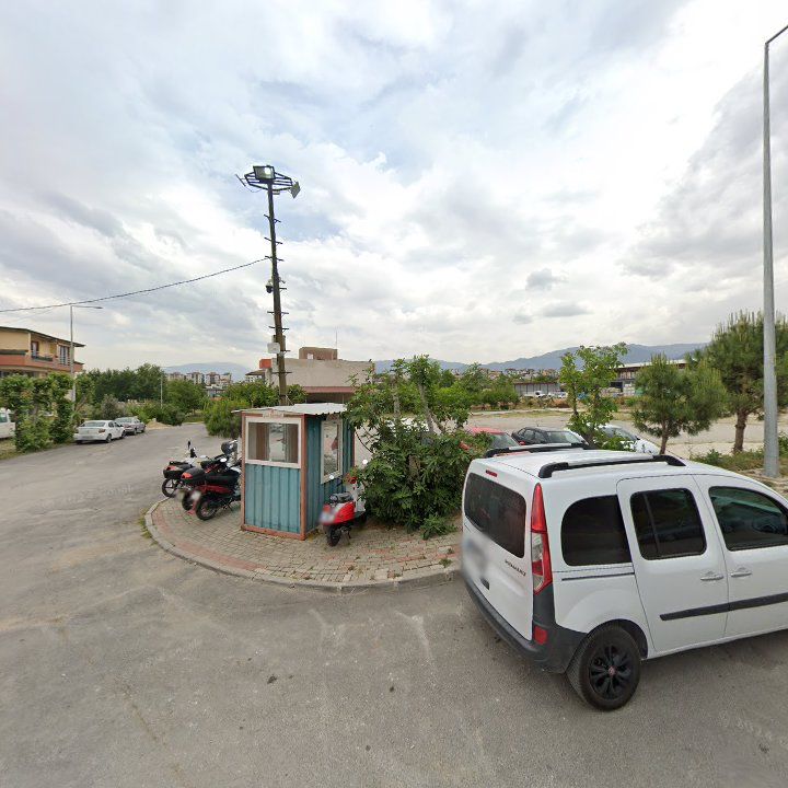Fotoğraf 12