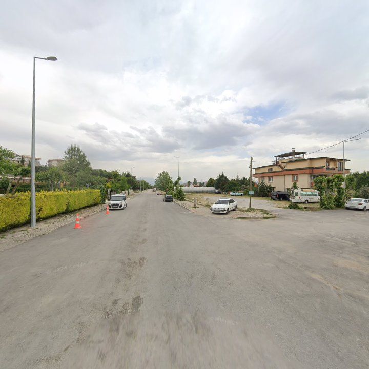 Fotoğraf 11