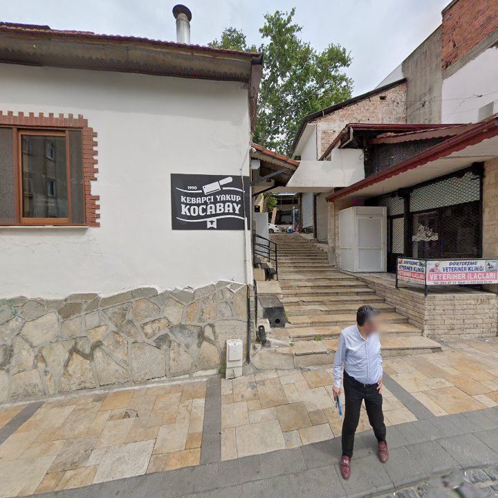 Fotoğraf 11