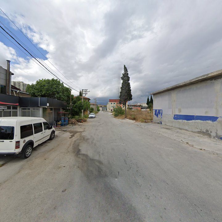 Fotoğraf 7