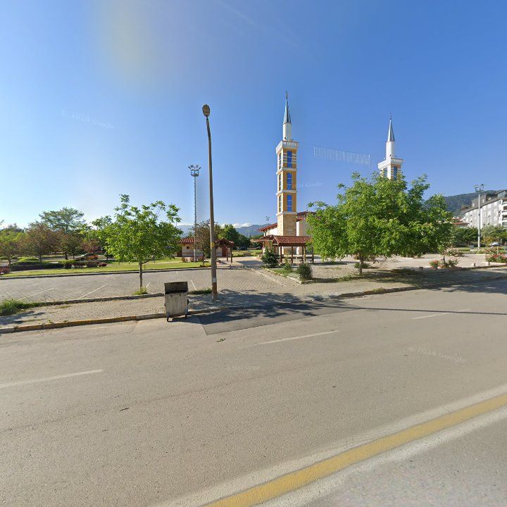 Fotoğraf 8