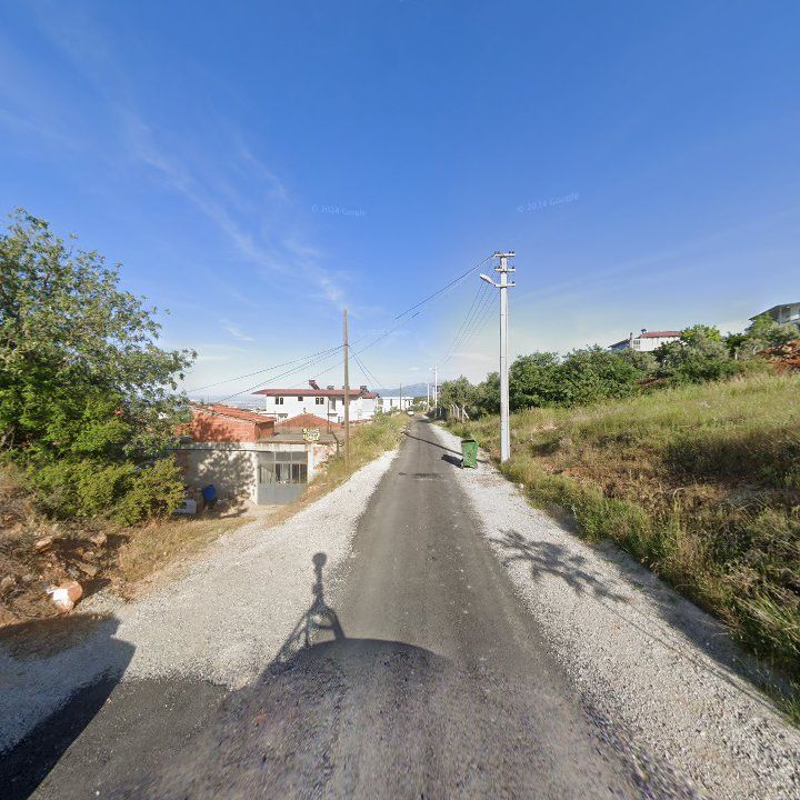 Fotoğraf 7